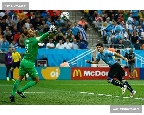 澳门黑熊第三节领先琉球黄金帝王，客场作战有望取首胜